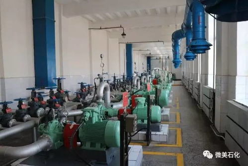 家有 三寶,發(fā)展無憂